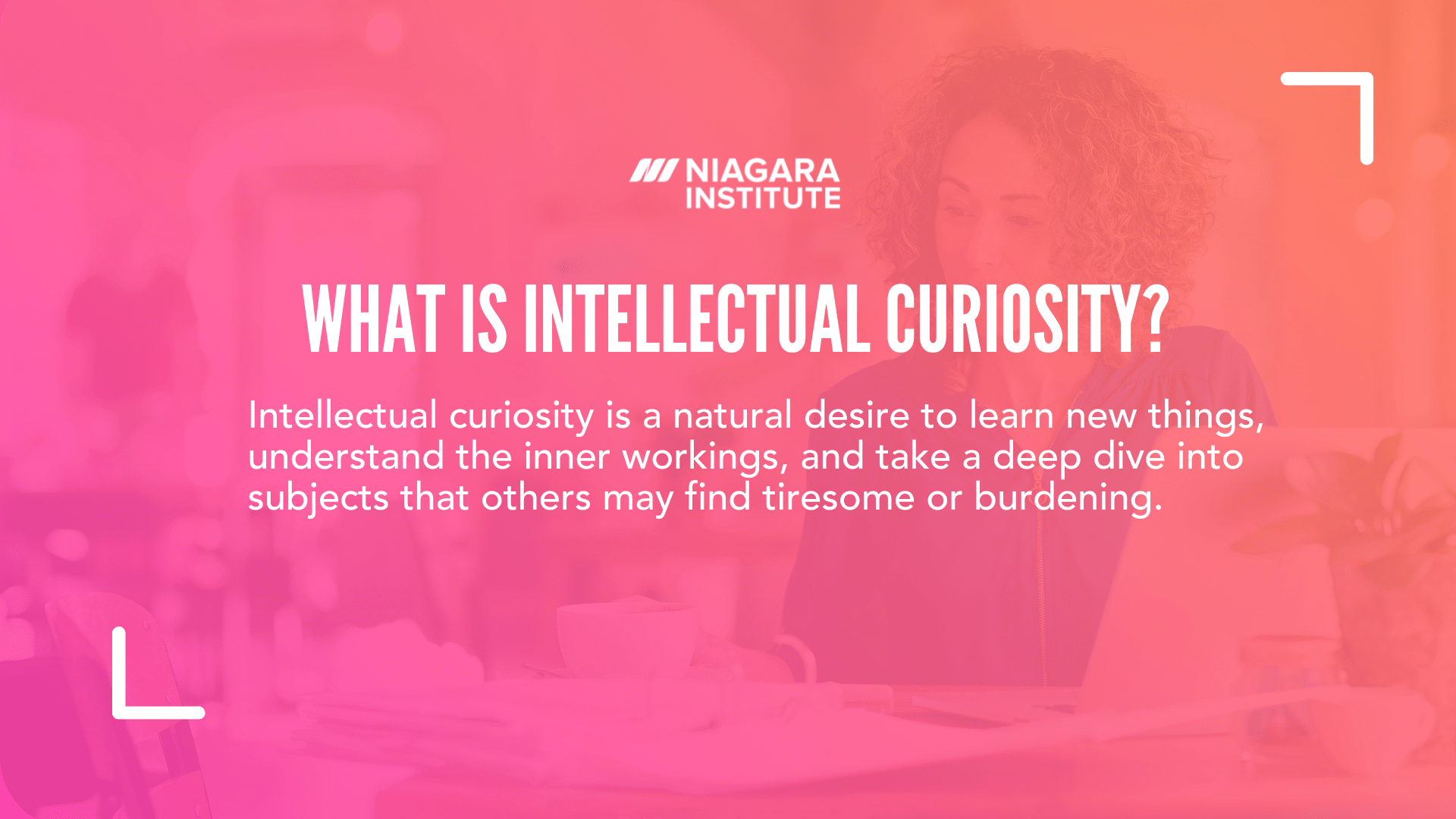 intellectual curiosity essay examples